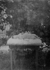 Scan0067